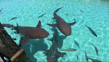 exuma