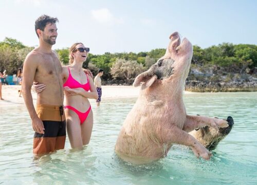 Exuma Elite Escape: Luxury Fly-In Pig Beach Adventure - 7 Stops